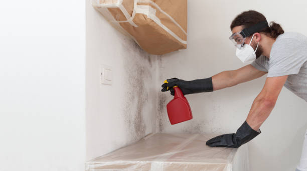 Professional Mold Testing technician working in Rapid City, MI