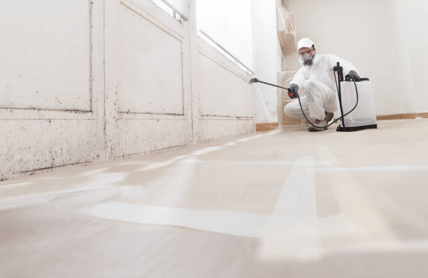 24/7 Emergency Mold Testing experts in Rapid City, MI