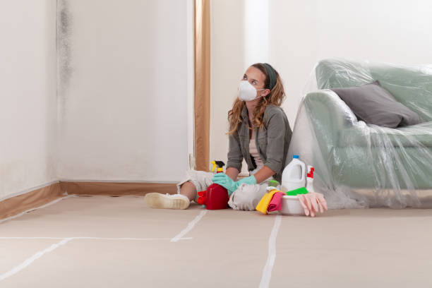 Reliable Mold Testing contractor in Rapid City, MI by WQB Mold Removal